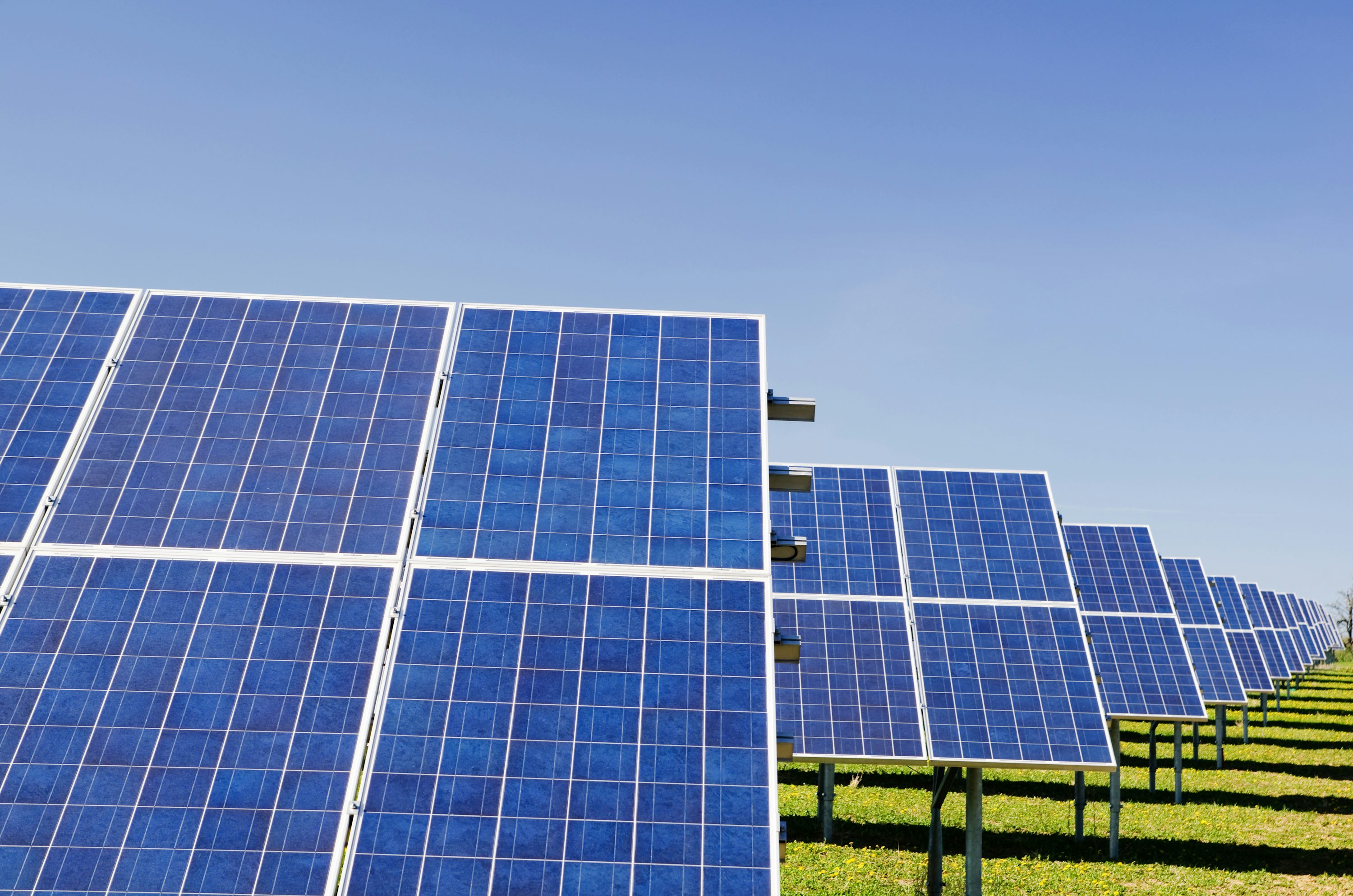Rows of blue solar panels in a sunny field, illustrating solar energy use and storage concepts. do solar panels store energy?