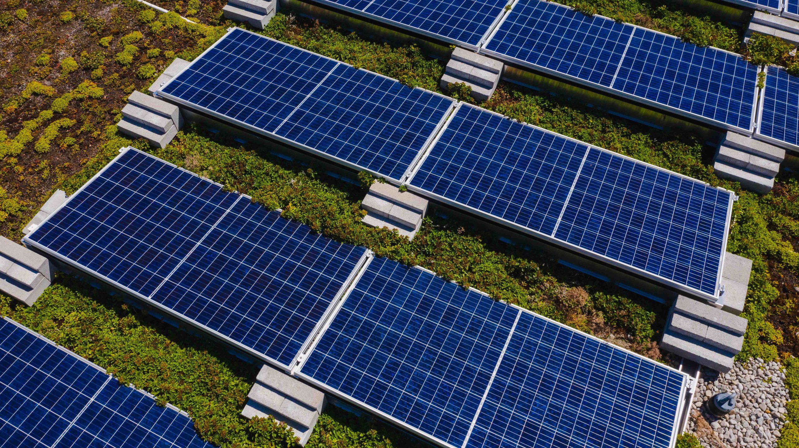 Rows of blue solar panels sit above a green roof.